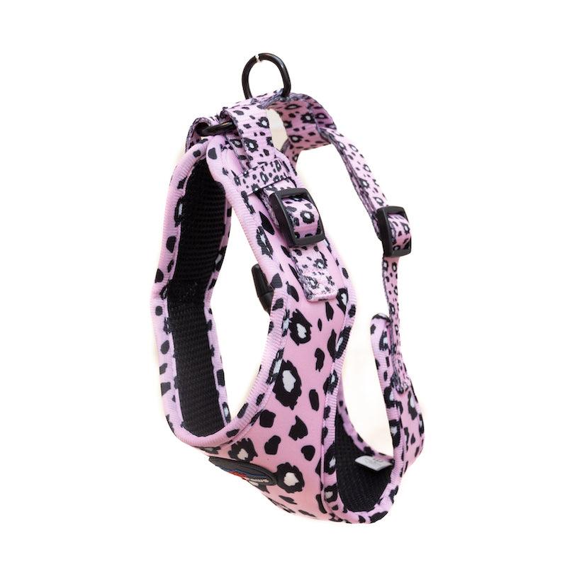 Harleys Companions - Funk The Dog Harness | Pink Leopard
