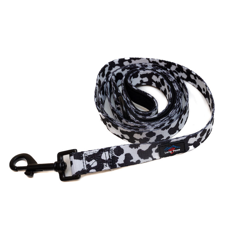Harleys Companions - Funk the Dog Lead & Bowtie Set | Cow Print