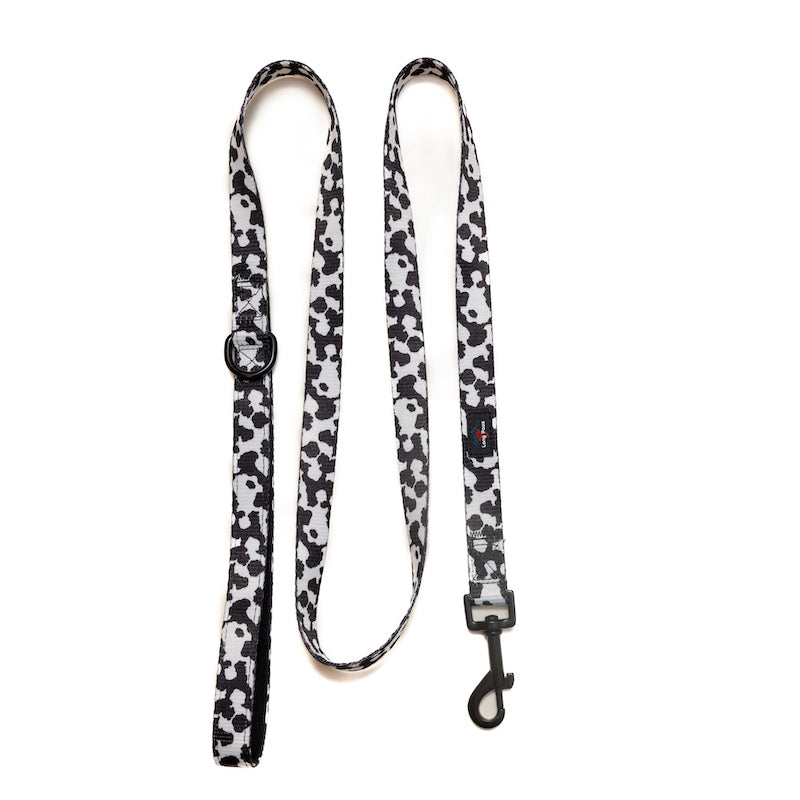 Harleys Companions - Funk the Dog Lead & Poo Bag Pouch Set | Cow Print