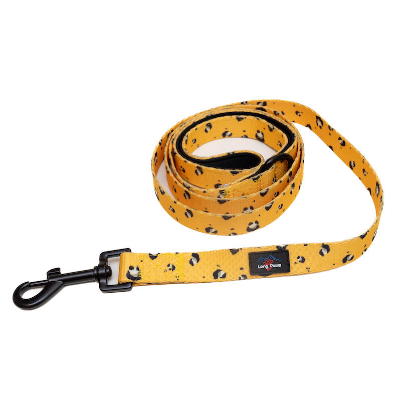 Harleys Companions - Funk the Dog Collar & Lead Set | Mustard Panda | Yellow Leopard