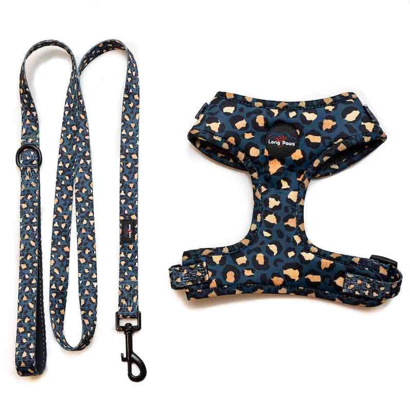Harleys Companions - Funk the Dog Harness & Lead Set | Leopard Green & Gold
