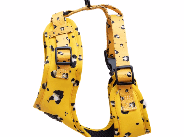 Harleys Companions - Funk The Dog Harness | Mustard Panda