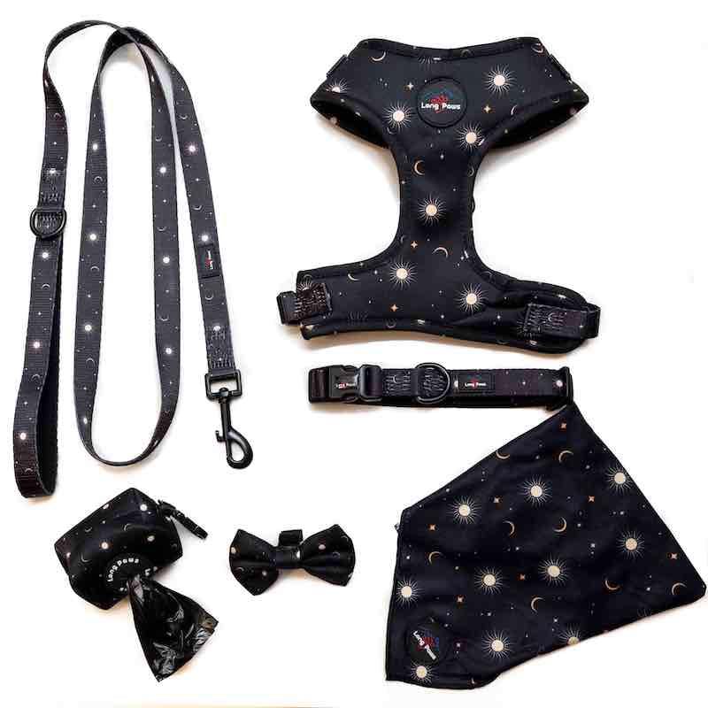 Harleys Companions - Funk The Dog Padded Dog Collar | Black Night Sky