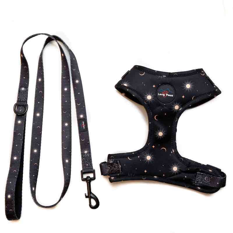 Harleys Companions - Funk the Dog Harness & Lead Set | Night Sky