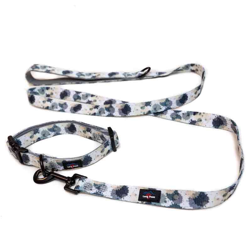 Harleys Companions - Funk the Dog Collar & Lead Set | Paint Splodge Grey