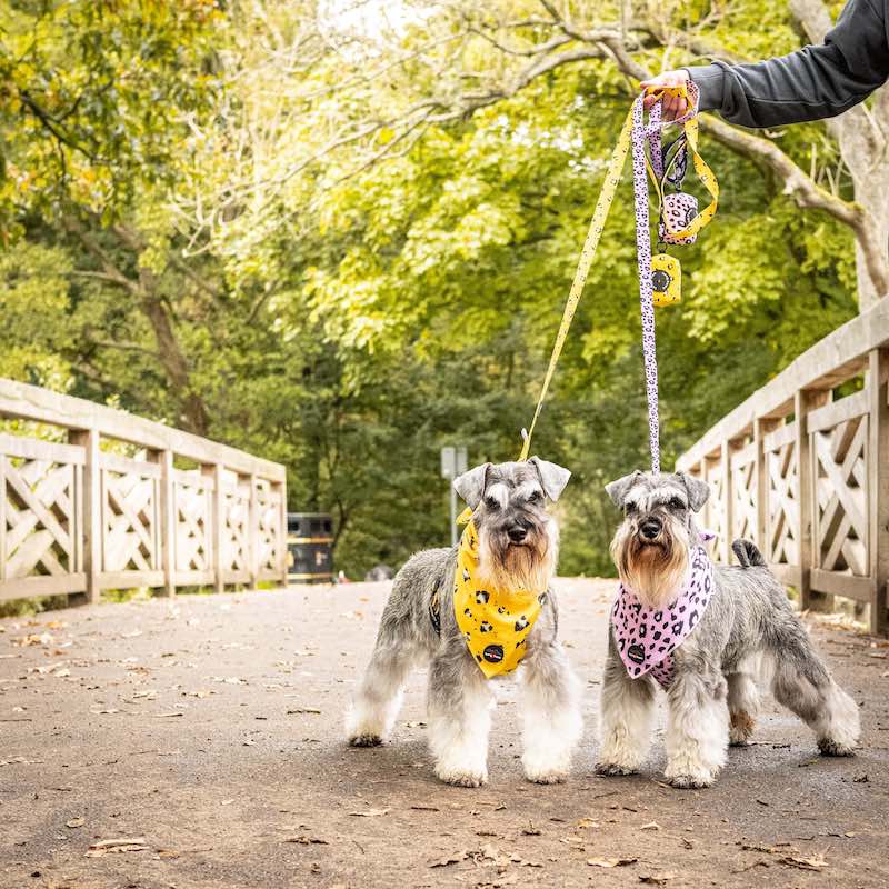 Harleys Companions - Funk The Dog Bandana | Mustard Panda