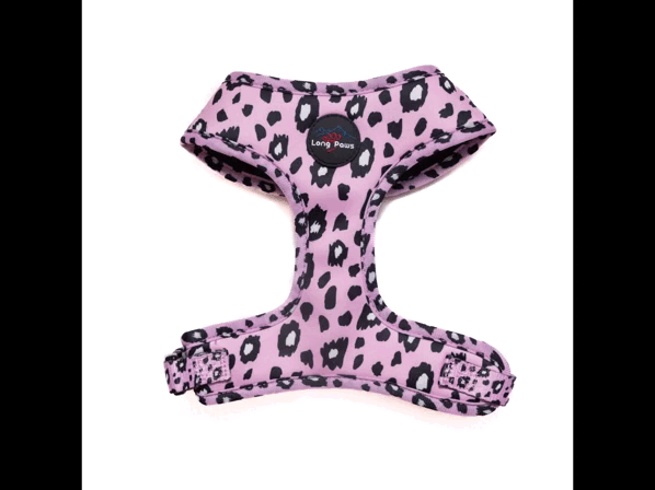 Harleys Companions - Funk The Dog Harness | Pink Leopard