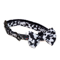 Harleys Companions - Funk the Dog Collar & Bow Set | Cow Print