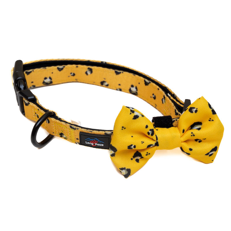 Harleys Companions - Funk the Dog Collar & Bow Set | Mustard Panda