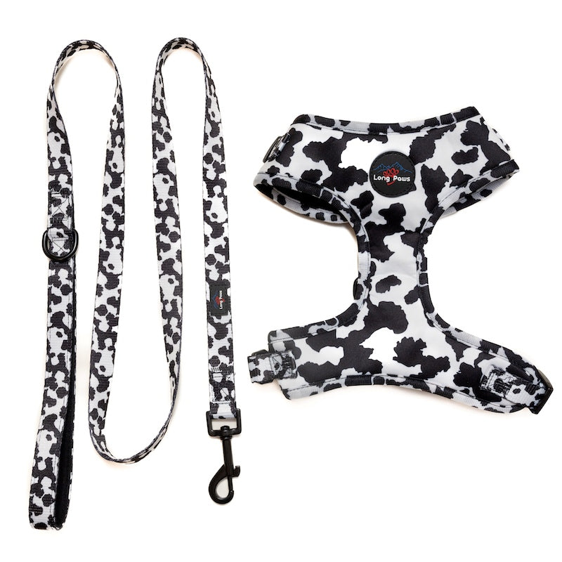 Harleys Companions - Funk the Dog Harness & Lead Set | Cow Print
