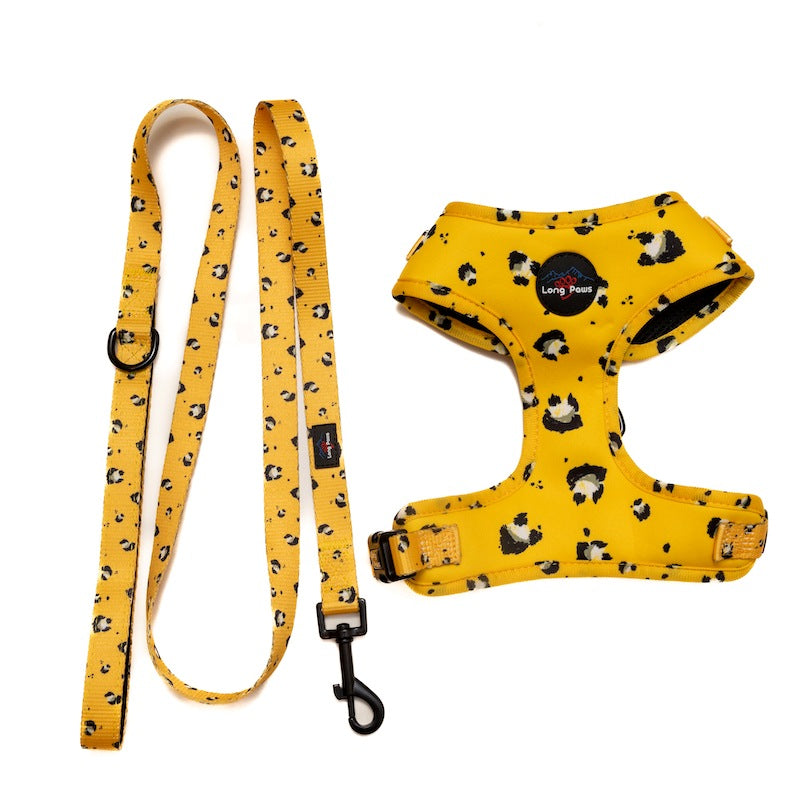 Harleys Companions - Funk the Dog Harness & Lead Set | Mustard Panda