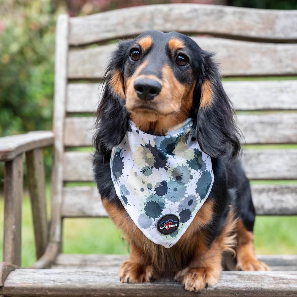 Harleys Companions - Funk The Dog Bandana | Paint Splodge Grey, Green, Yellow & White