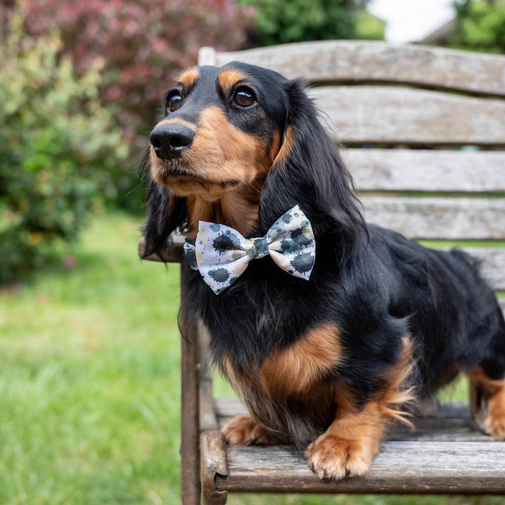 Harleys Companions - Funk the Dog Lead & Bowtie Set | Paint Splodge Grey, Green, Yellow & White