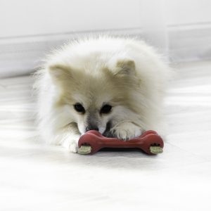 KONG Goodie Bone Treat Dispensing Dog Toy - Small
