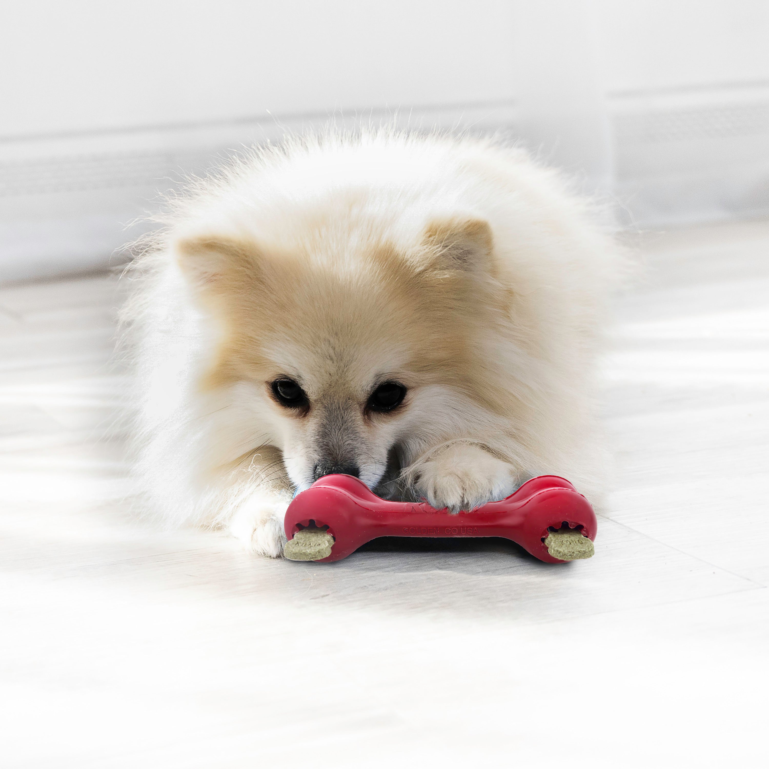 KONG Goodie Bone Treat Dispensing Dog Toy - Small