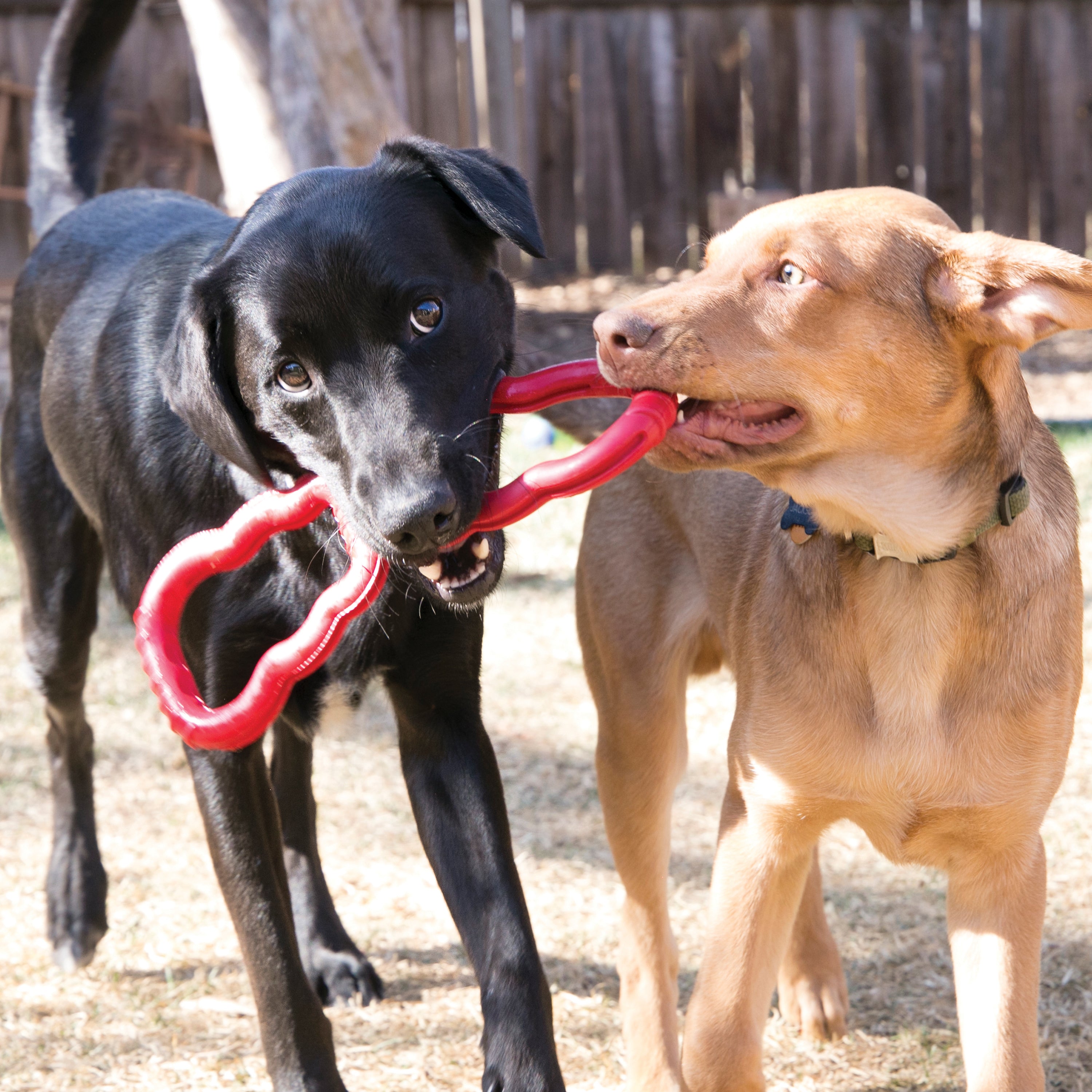 KONG Tug Durable Rubber Tug Dog Toy - Large Red (32cm)