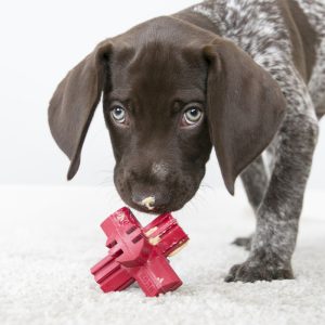 KONG Jump'n Jack Treat Dispensing Dog Toy - Medium