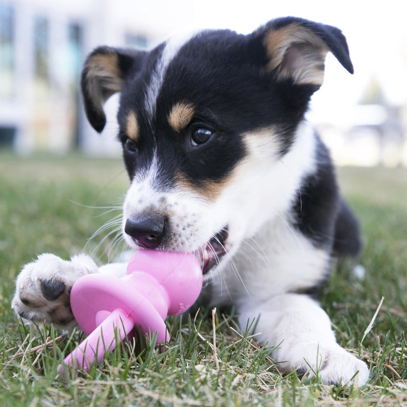 KONG Puppy Binkie Treat Dispensing Dog Toy - Medium Blue/Pink (13cm)