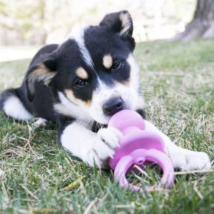 KONG Puppy Binkie Treat Dispensing Dog Toy - Small Blue/Pink (11.5cm)