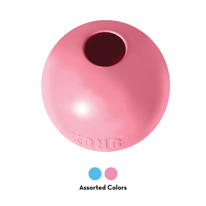 KONG Puppy Durable Fetch Dog Toy - Ball Medium/Large