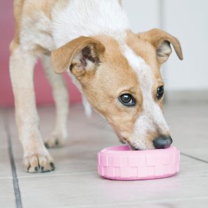 KONG Puppy Tires Durable Chew Dog Toy - Small