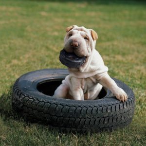 KONG Traxx Durable Rubber Chew Dog Toy - Medium/Large Black (11cm)