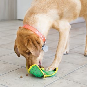 KONG Ballistic Hide 'N Treat Durable Dog Toy Medium - Assorted