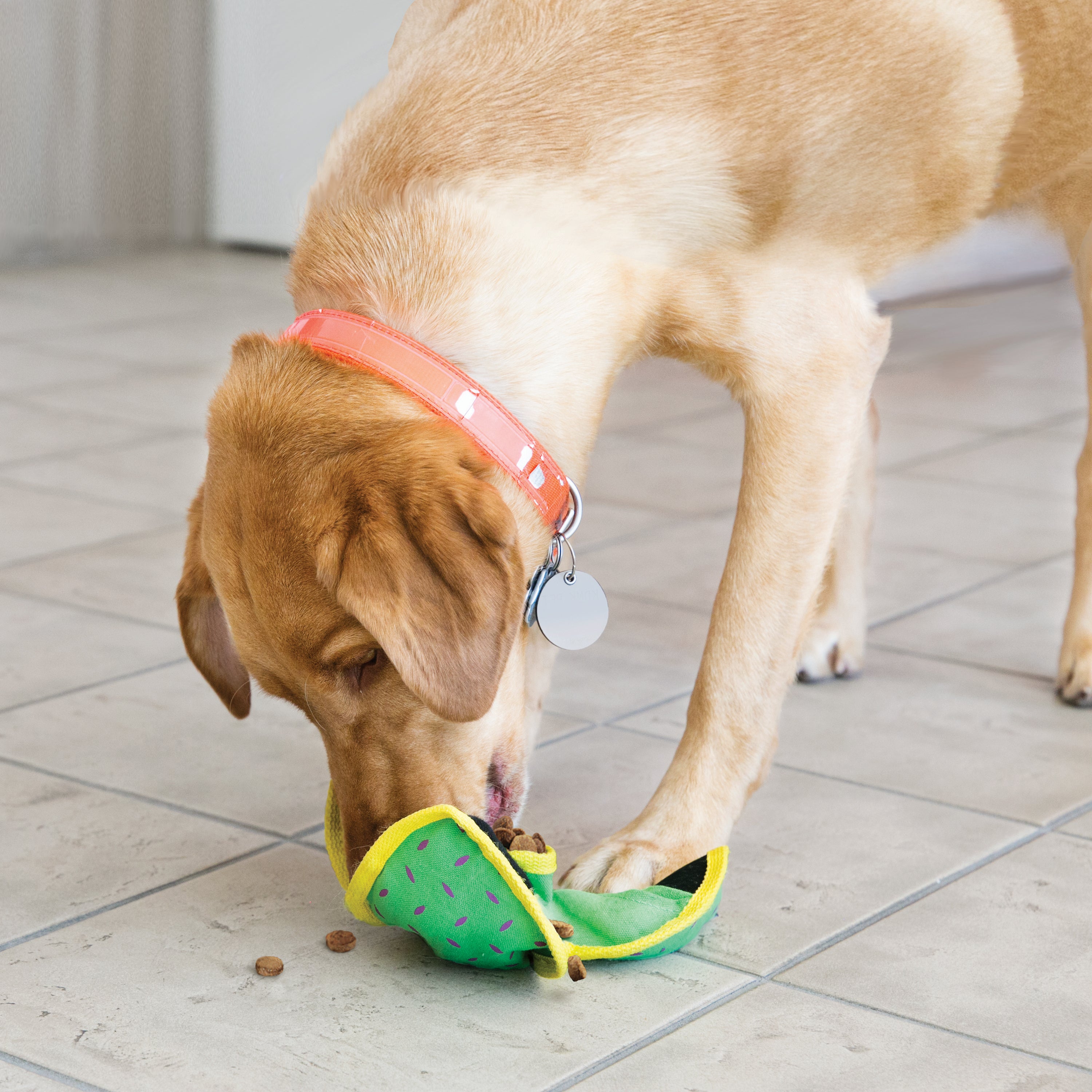 KONG Ballistic Hide 'N Treat Durable Dog Toy Large - Assorted