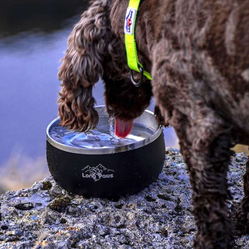 Harleys Companions - Lunar Dog Bowls - Food & Water Bowl Set