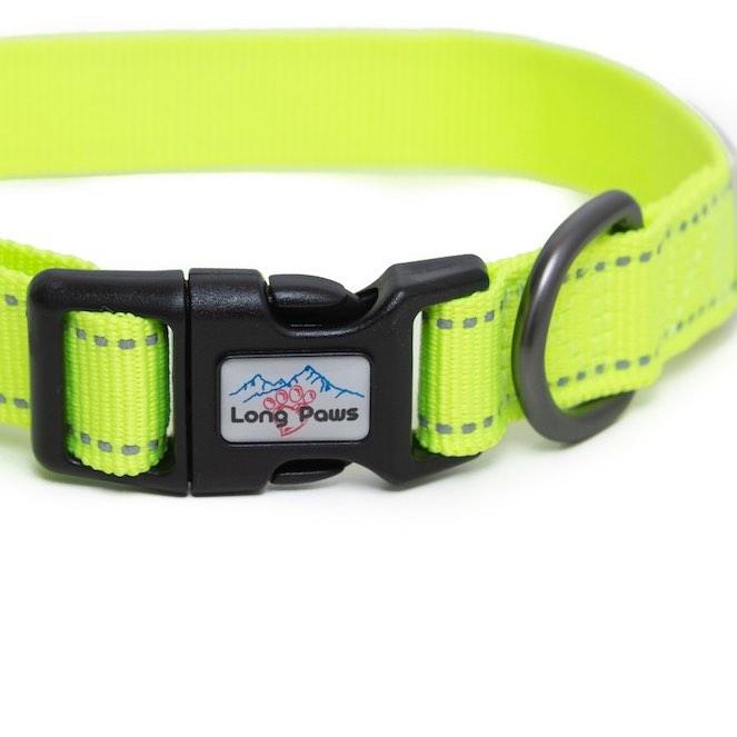 Harleys Companions - Neon Dog Collar | Hi Viz