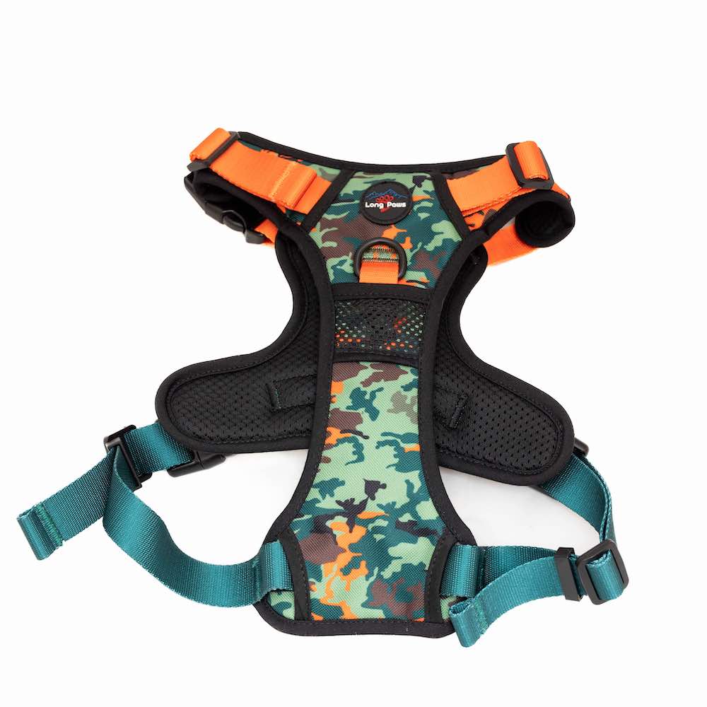 Harleys Companions - Earth Friendly - Trig Point Harness and Lead Set
