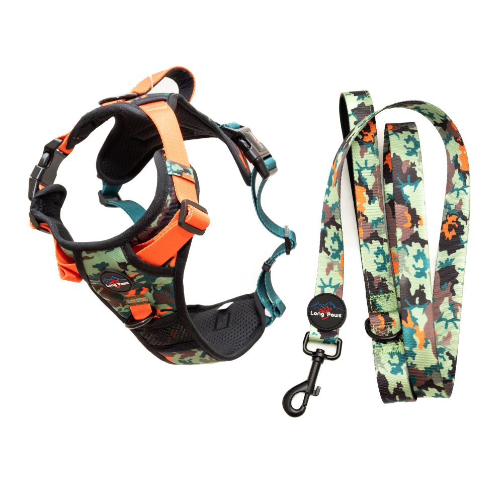 Harleys Companions - Earth Friendly - Trig Point Harness and Lead Set