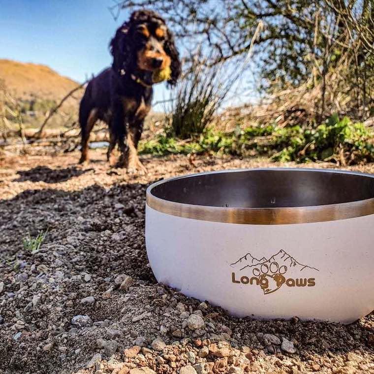 Harleys Companions - Lunar Dog Bowls - Food & Water Bowl Set