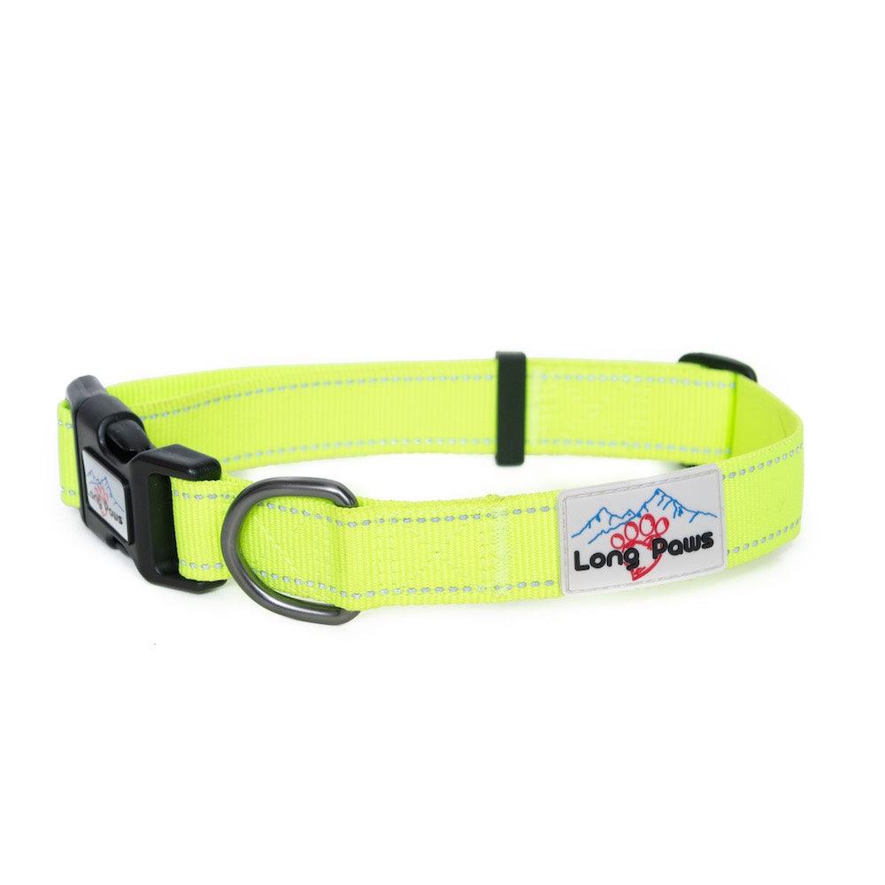 Harleys Companions - Neon Dog Collar | Hi Viz