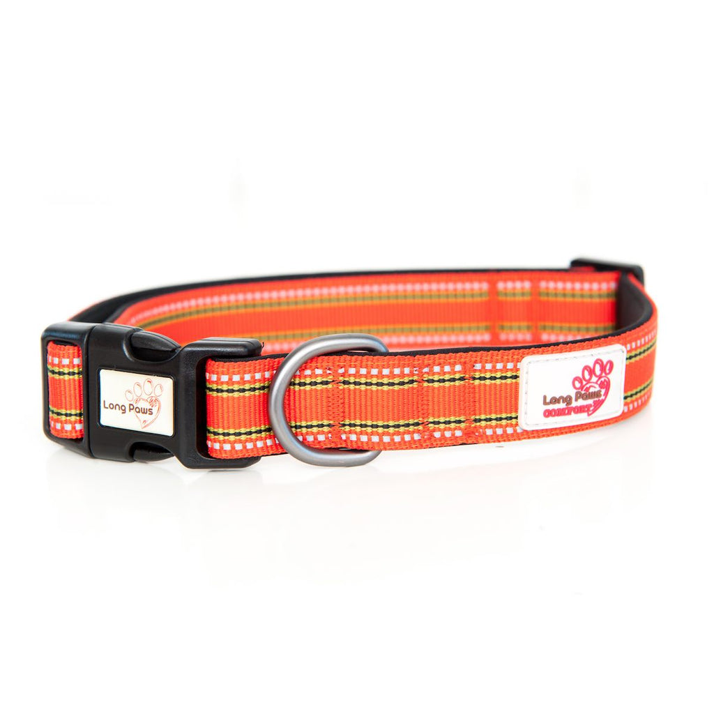 Harleys Companions - Comfort Trigger Clip Rope Lead (80cm/120cm) & Reflective Collar Set