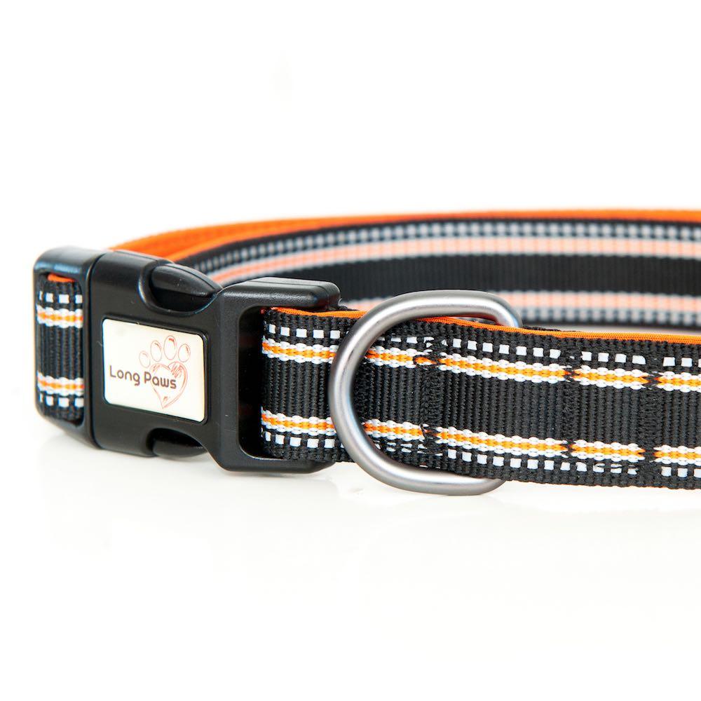 Harleys Companions - Comfort Reflective Padded Dog Collar | Black
