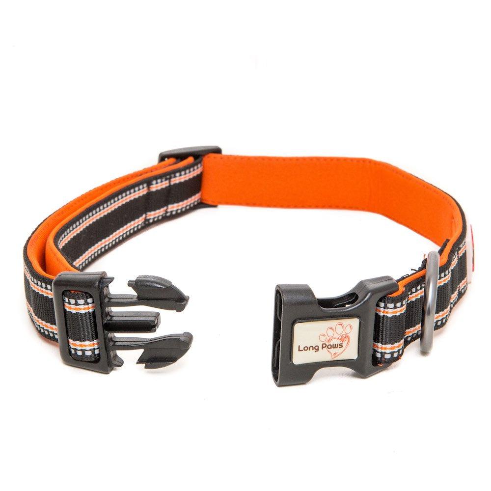 Harleys Companions - Comfort Reflective Padded Dog Collar | Black