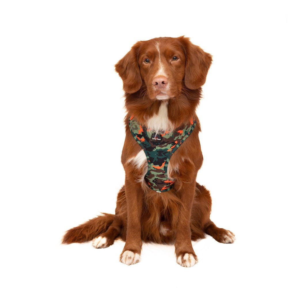 Harleys Companions - Earth Friendly - Trekker Harness