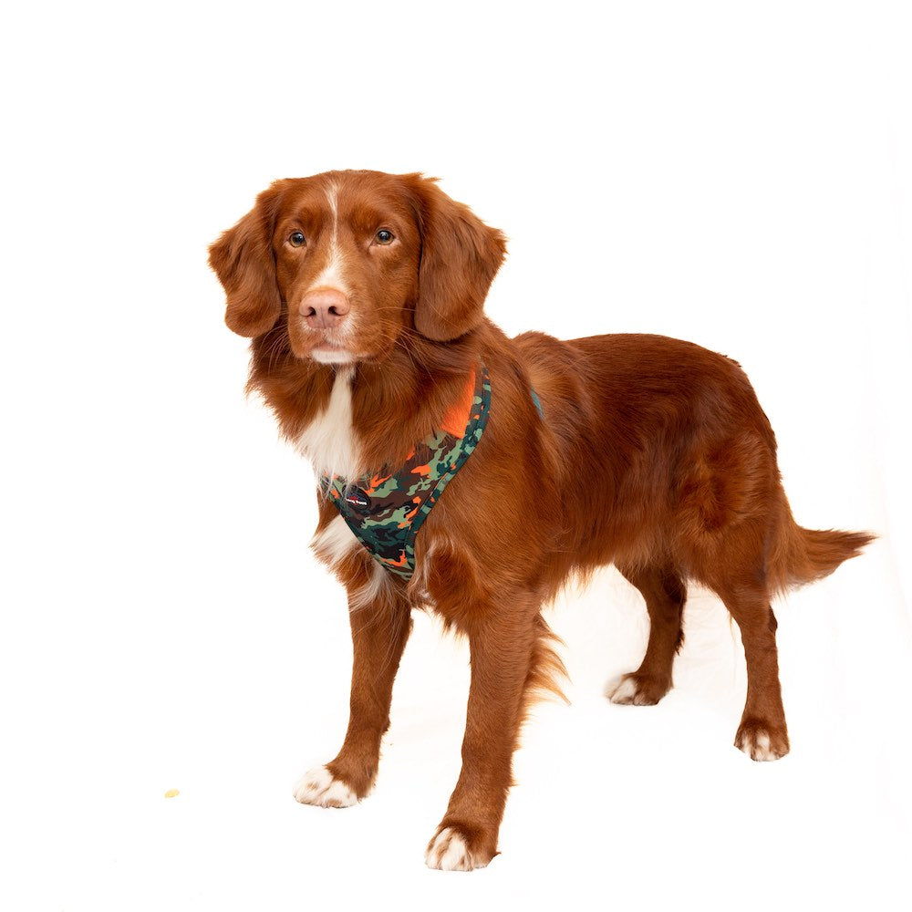 Harleys Companions - Earth Friendly - Trekker Harness
