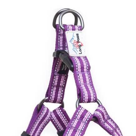Harleys Companions - Comfort Step-in Dog Harness  | Reflective | Purple