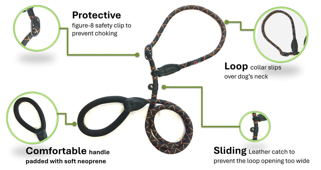 Harleys Companions - Comfort Rope Slip Lead | Black