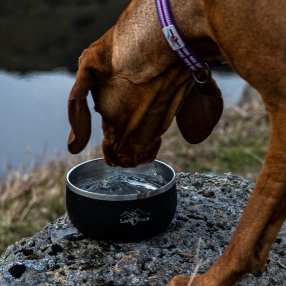 Harleys Companions - Lunar Dog Bowl - Black Dog Bowl