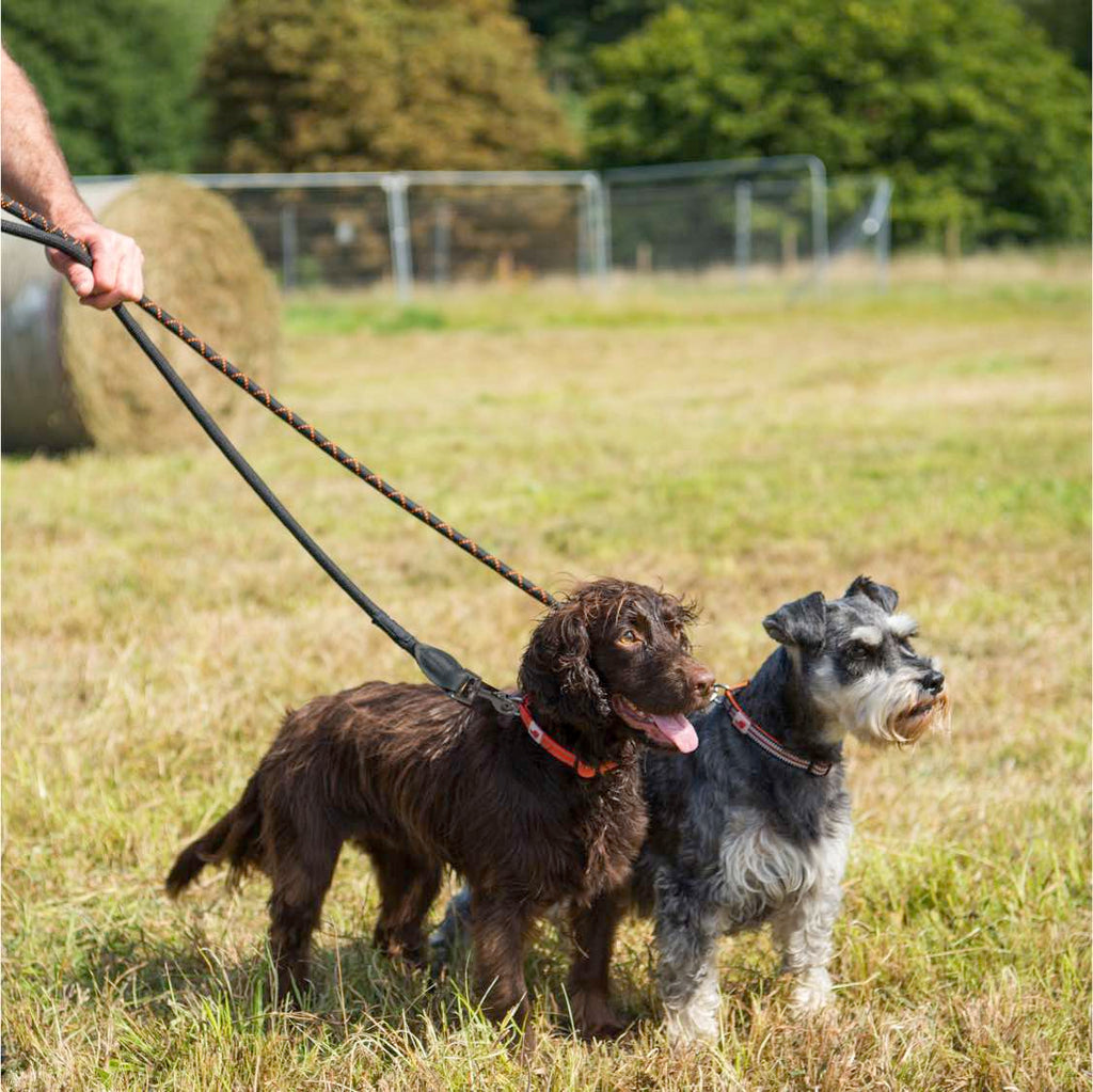 Harleys Companions - Comfort Rope Lead | TRIGGER Clip | Orange 120cm