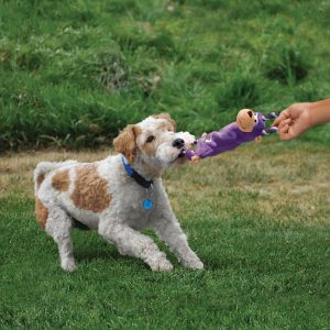KONG TuggerKnots Frog Squeaky Tug Plush Dog Toy - Small/Medium