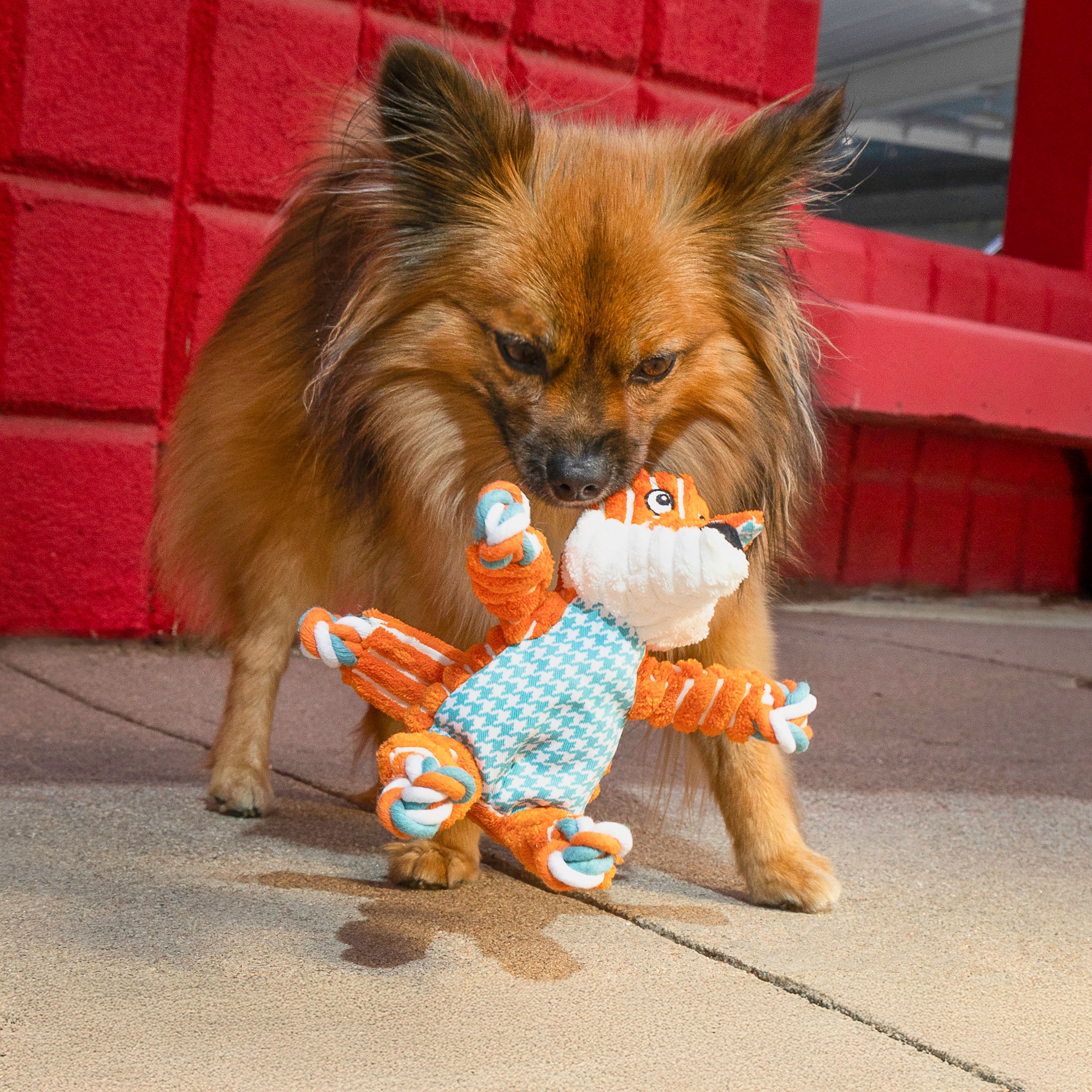 KONG Floppy Knots Fox Squeaky Tug Dog Toy - Small/Medium