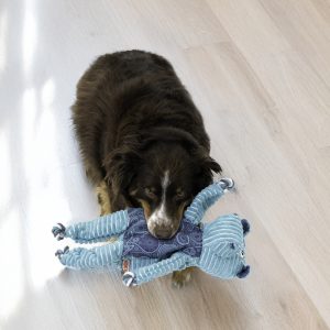 KONG Floppy Knots Hippo Squeaky Tug Dog Toy - X-Large