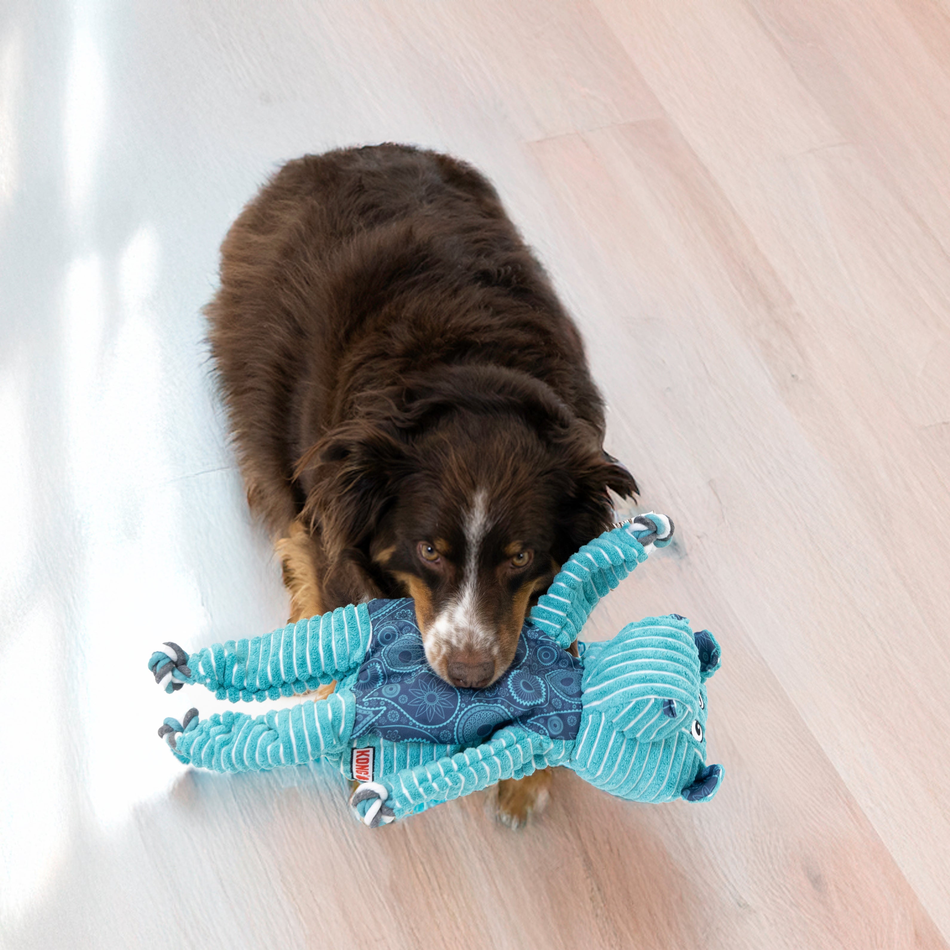 KONG Floppy Knots Hippo Squeaky Tug Dog Toy - X-Large