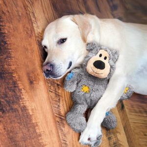 KONG WildKnots Bears Squeaky Plush Dog Toy - Medium/Large (26cm)