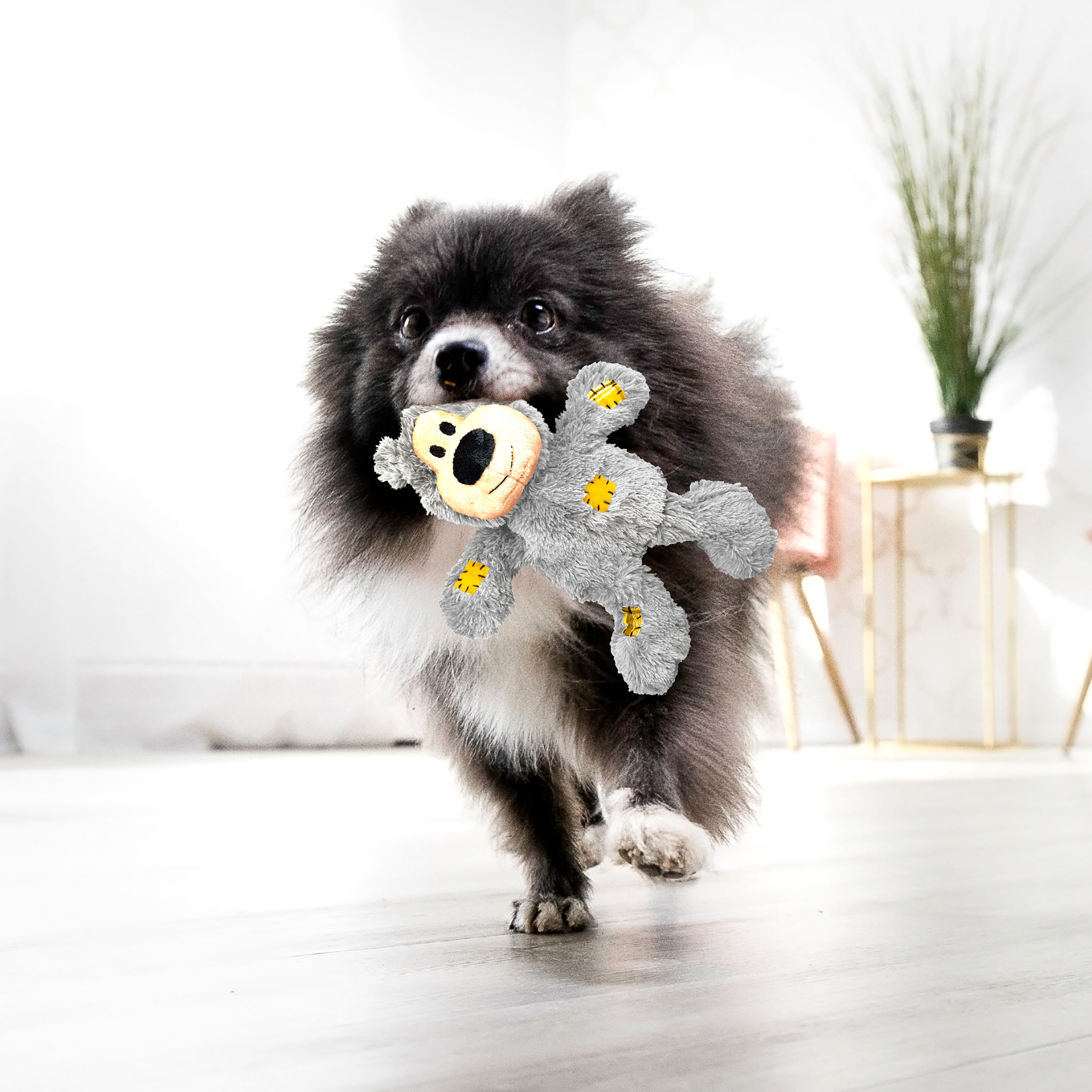 KONG WildKnots Bears Squeaky Plush Dog Toy - X-Small Assorted