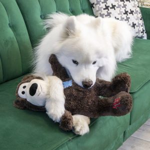 KONG WildKnots Bear Jumbo Squeaky Plush Dog Toy - X-Large Assorted